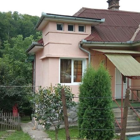 Hotel Vila Tilda Sovata Exteriér fotografie
