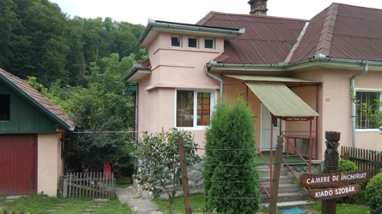 Hotel Vila Tilda Sovata Exteriér fotografie